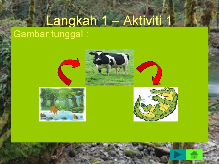 Langkah 1 – Aktiviti 1 Gambar tunggal : 