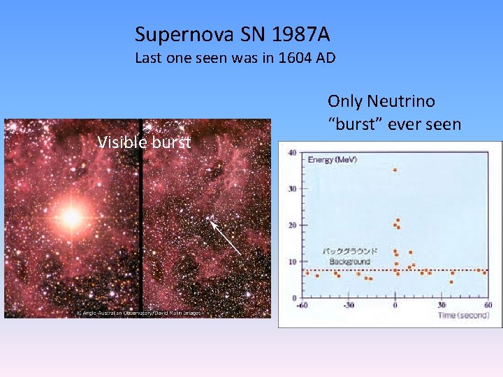 Supernova SN 1987 A Last one seen was in 1604 AD Visible burst Only