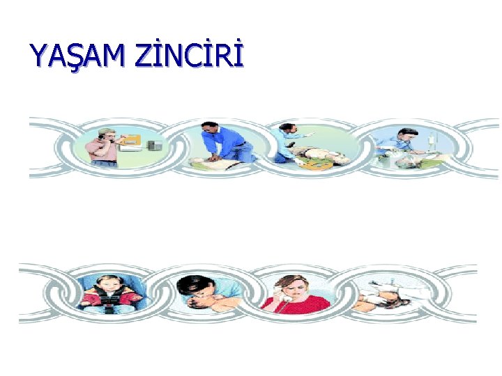 YAŞAM ZİNCİRİ 