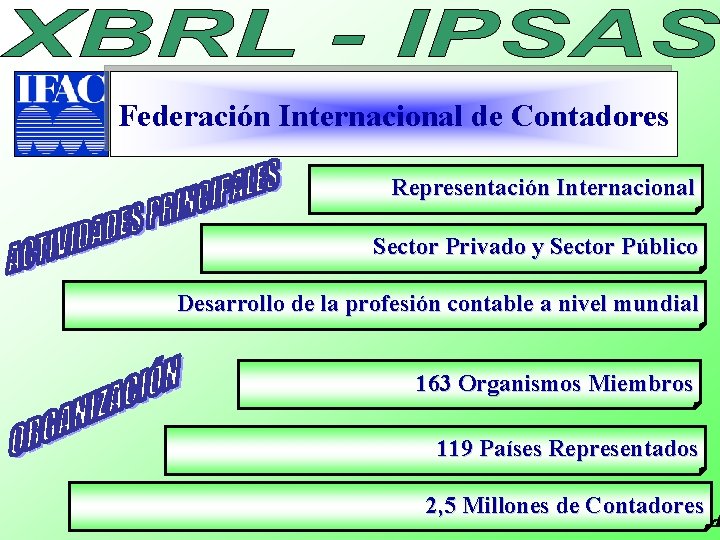 Federación Internacional de Contadores Representación Internacional Sector Privado y Sector Público Desarrollo de la