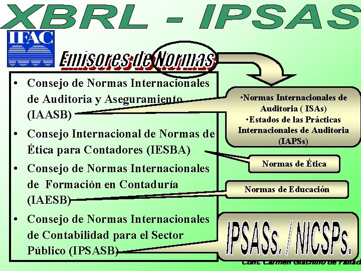  • Consejo de Normas Internacionales de Auditoria y Aseguramiento (IAASB) • Consejo Internacional