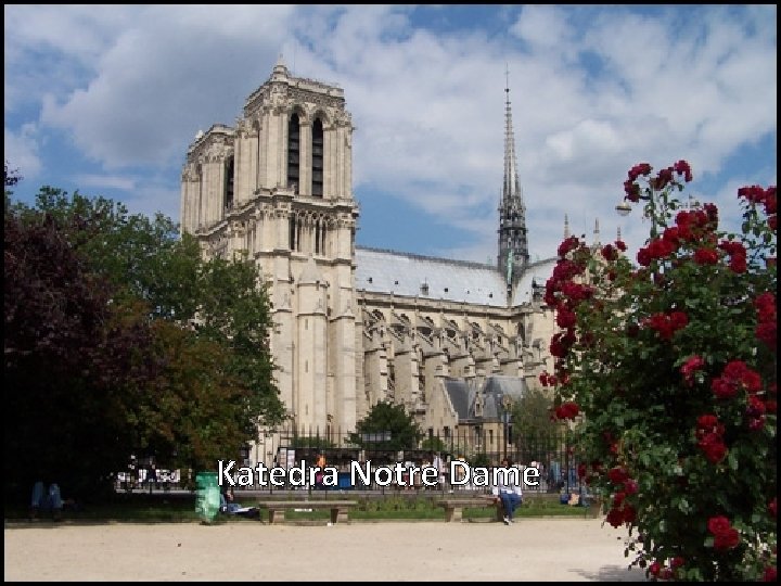 Katedra Notre Dame 