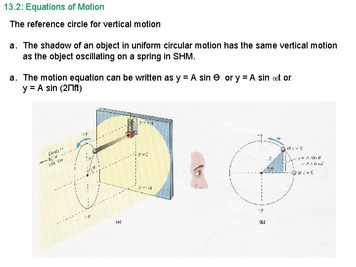 13. 2: Equations of Motion The reference circle for vertical motion a. The shadow