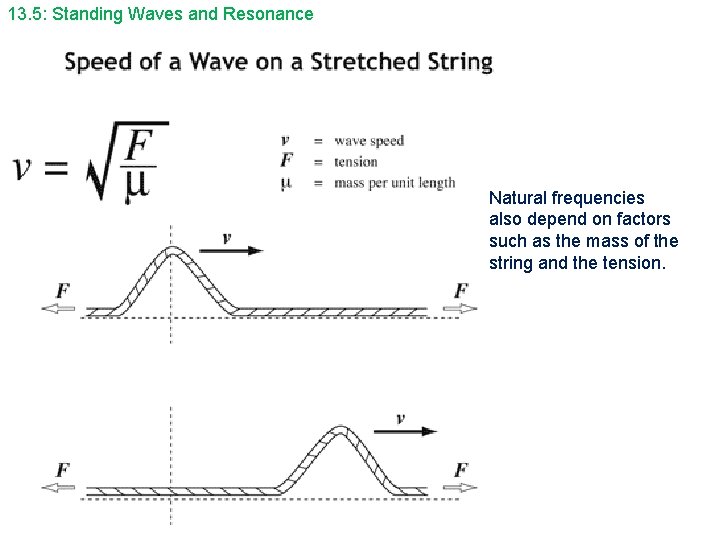 13. 5: Standing Waves and Resonance Natural frequencies also depend on factors such as