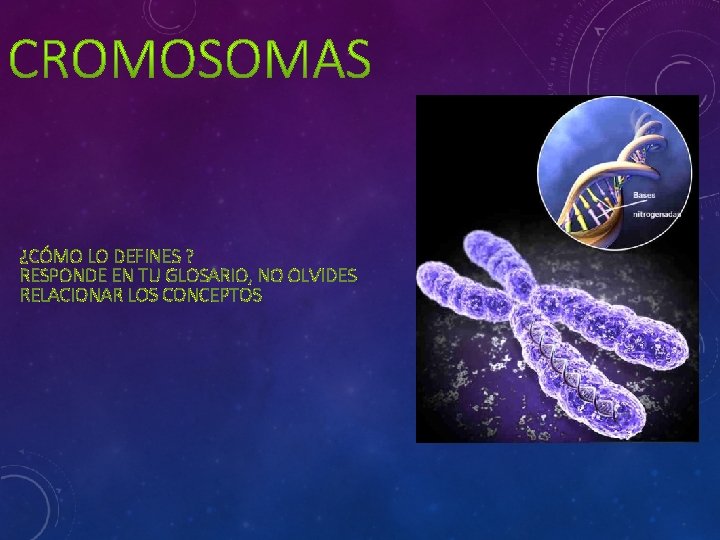 ¿CÓMO LO DEFINES ? RESPONDE EN TU GLOSARIO, NO OLVIDES RELACIONAR LOS CONCEPTOS 
