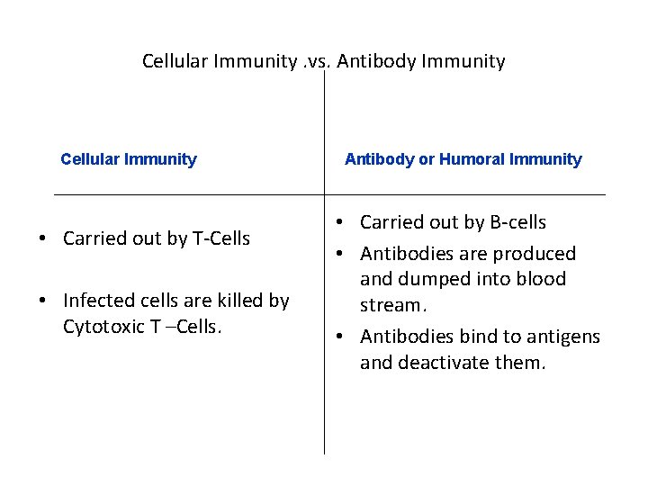 Cellular Immunity. vs. Antibody Immunity Cellular Immunity • Carried out by T-Cells • Infected