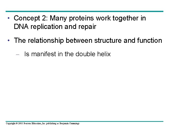  • Concept 2: Many proteins work together in DNA replication and repair •