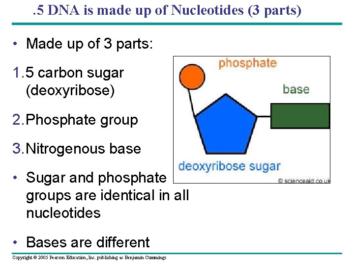 . 5 DNA is made up of Nucleotides (3 parts) • Made up of