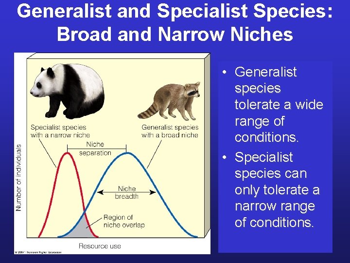 Generalist and Specialist Species: Broad and Narrow Niches • Generalist species tolerate a wide