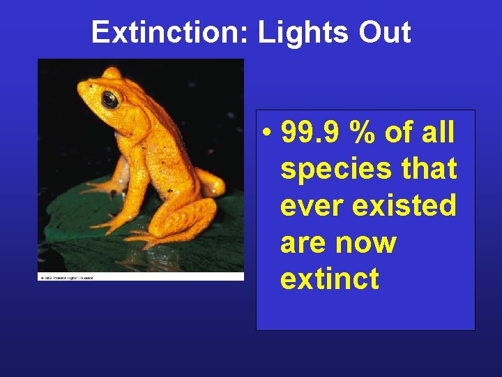 Extinction: Lights Out • 99. 9 % of all species that ever existed are