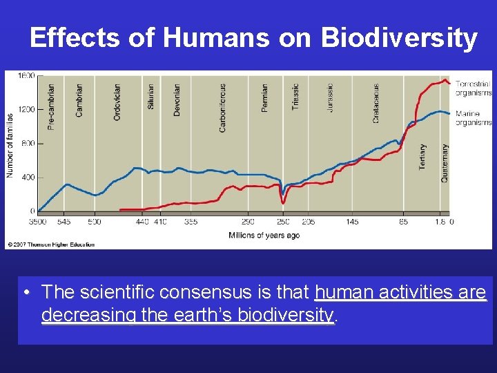 Effects of Humans on Biodiversity • The scientific consensus is that human activities are