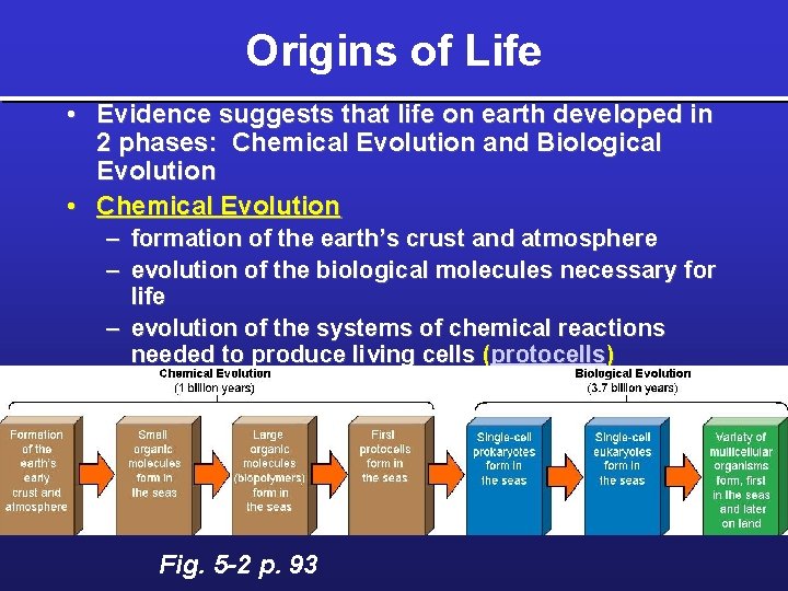 Origins of Life • Evidence suggests that life on earth developed in 2 phases: