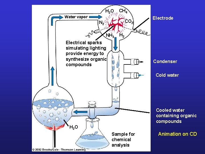 H 2 O CH 4 Water vapor CO 2 NH 3 Electrode H 2