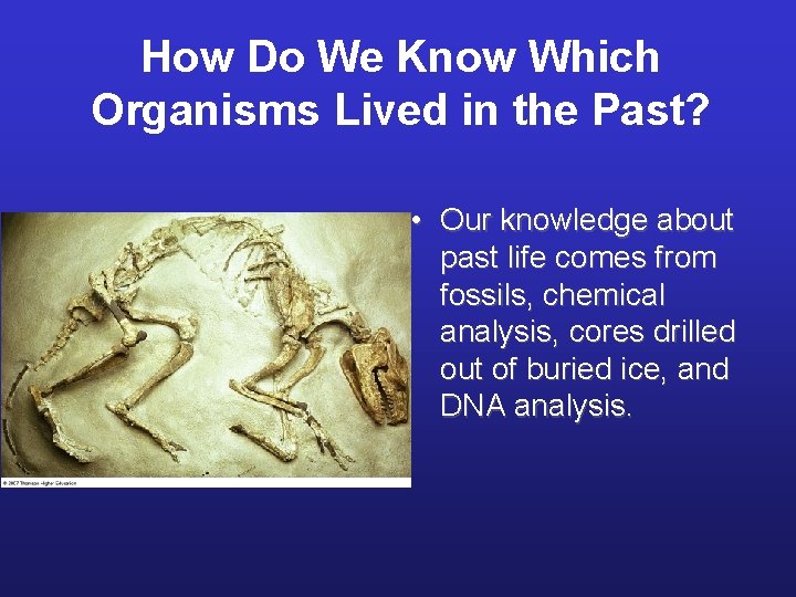 How Do We Know Which Organisms Lived in the Past? • Our knowledge about