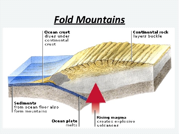 Fold Mountains 