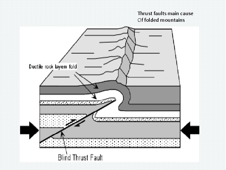 Thrust faults main cause Of folded mountains 