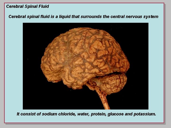 Cerebral Spinal Fluid Cerebral spinal fluid is a liquid that surrounds the central nervous