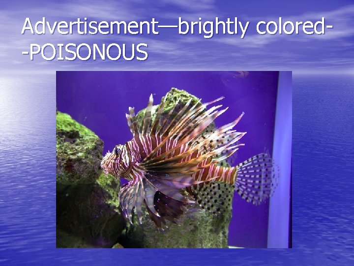 Advertisement—brightly colored-POISONOUS 