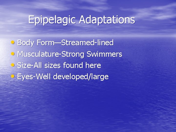 Epipelagic Adaptations • Body Form—Streamed-lined • Musculature-Strong Swimmers • Size-All sizes found here •