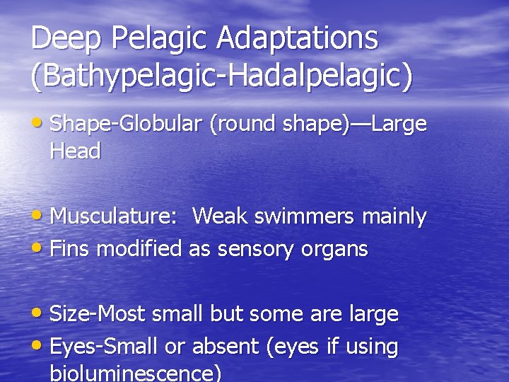 Deep Pelagic Adaptations (Bathypelagic-Hadalpelagic) • Shape-Globular (round shape)—Large Head • Musculature: Weak swimmers mainly