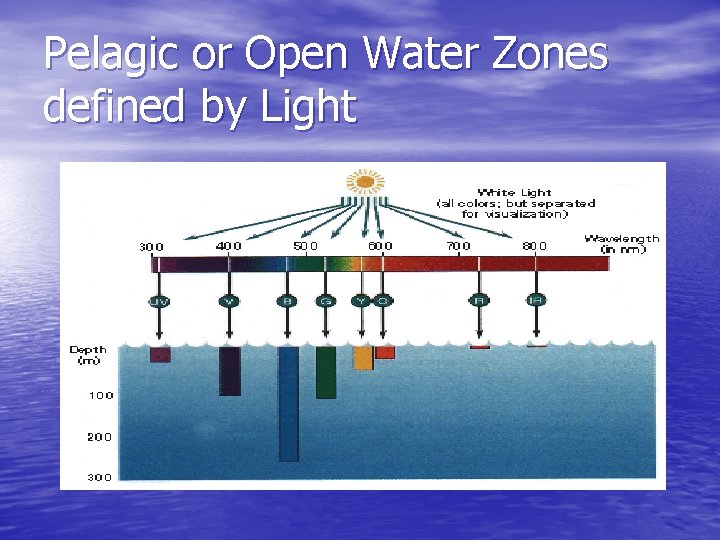 Pelagic or Open Water Zones defined by Light 