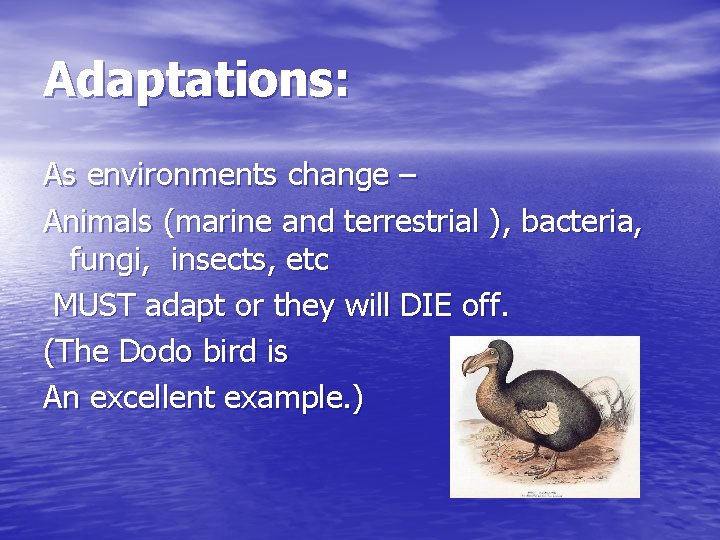 Adaptations: As environments change – Animals (marine and terrestrial ), bacteria, fungi, insects, etc