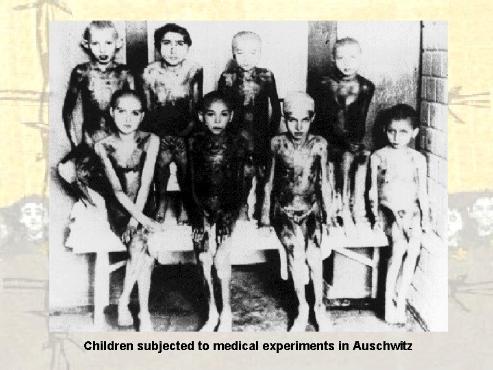 Children subjected to medical experiments in Auschwitz 