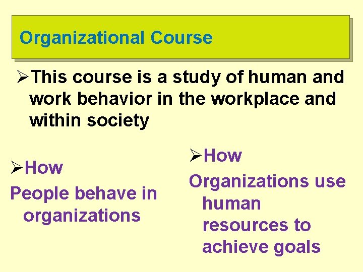 Organizational Course ØThis course is a study of human and work behavior in the