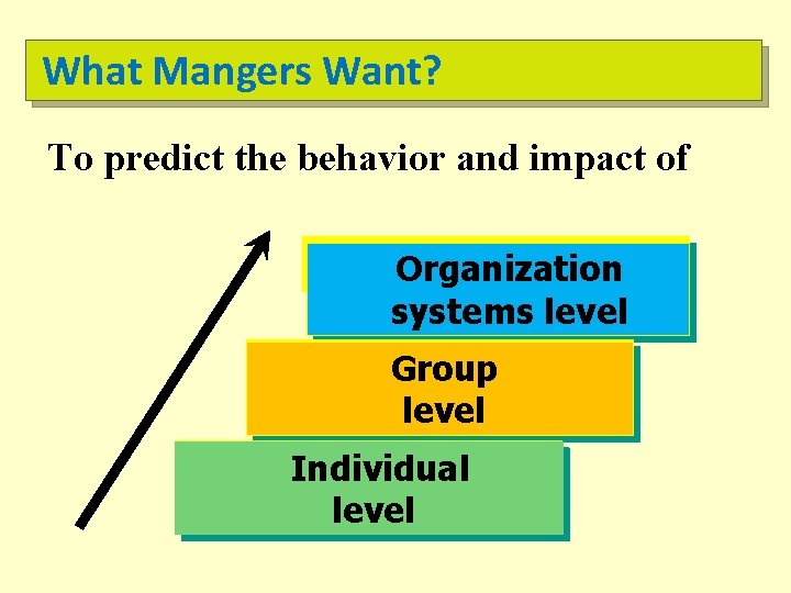 What Mangers Want? To predict the behavior and impact of Organization systems level Group