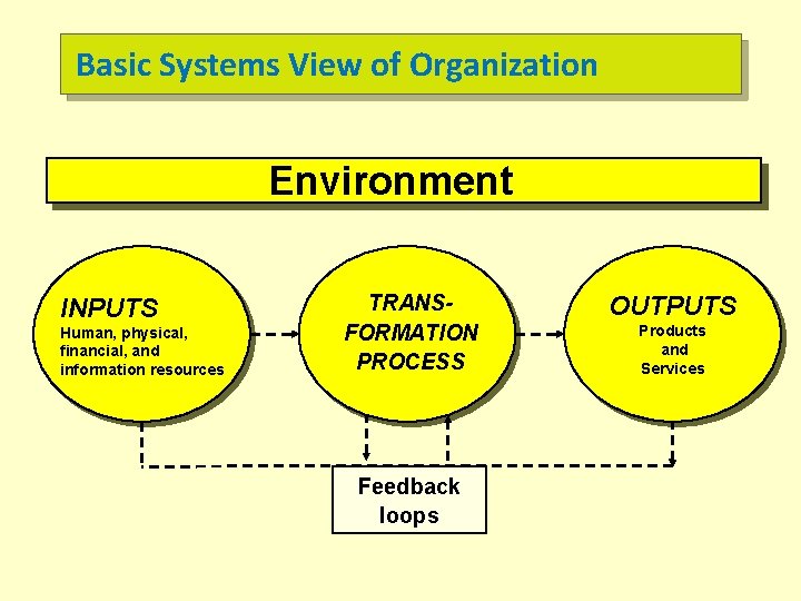 Basic Systems View of Organization Environment INPUTS Human, physical, financial, and information resources TRANSFORMATION