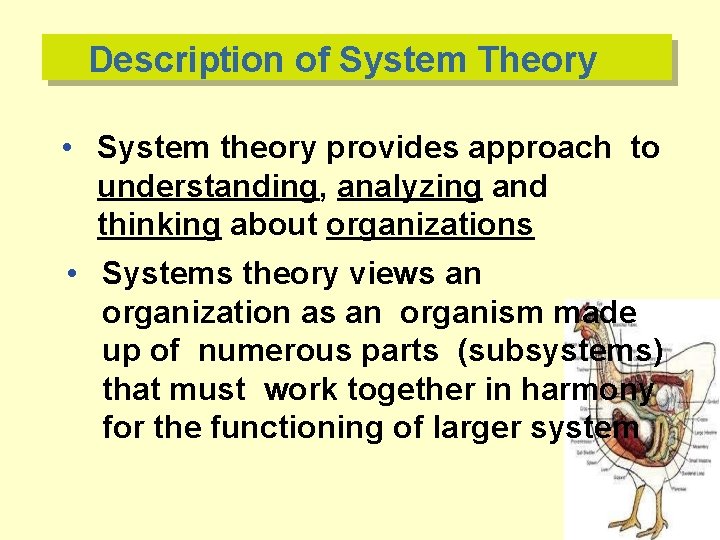 Description of System Theory • System theory provides approach to understanding, analyzing and thinking