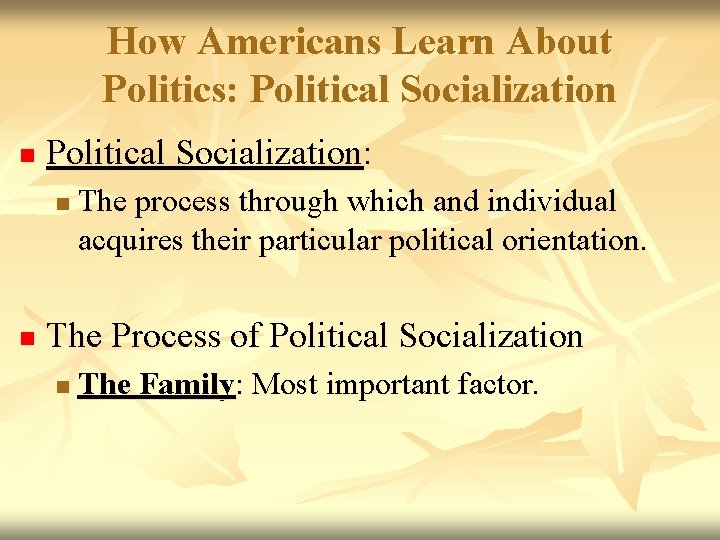 How Americans Learn About Politics: Political Socialization n Political Socialization: n n The process