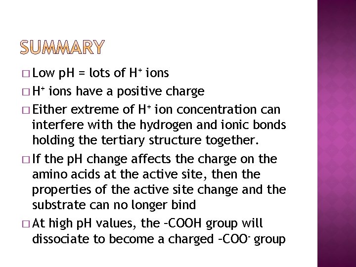 � Low p. H = lots of H+ ions � H+ ions have a