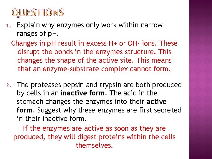 1. 2. Explain why enzymes only work within narrow ranges of p. H. Changes