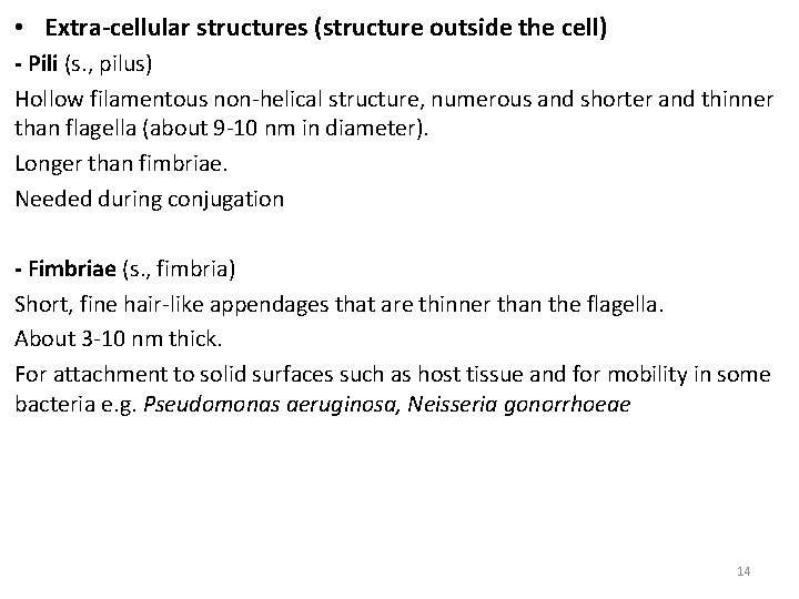  • Extra-cellular structures (structure outside the cell) - Pili (s. , pilus) Hollow