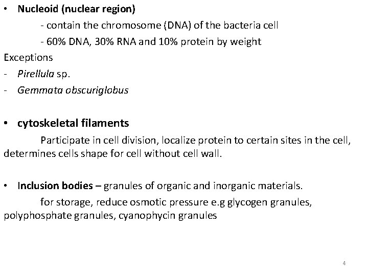  • Nucleoid (nuclear region) - contain the chromosome (DNA) of the bacteria cell