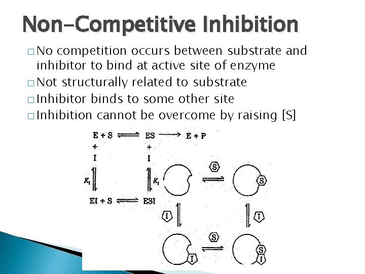 Non-Competitive Inhibition � No competition occurs between substrate and inhibitor to bind at active