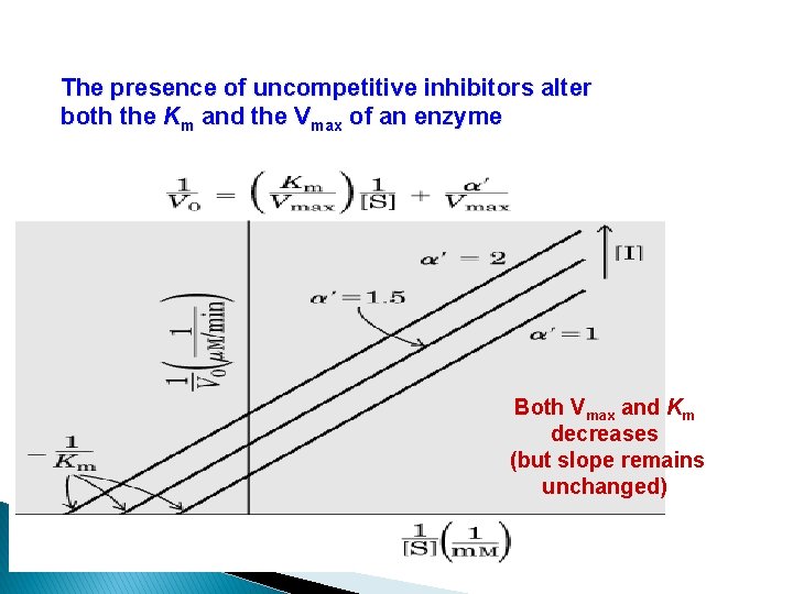 The presence of uncompetitive inhibitors alter both the Km and the Vmax of an