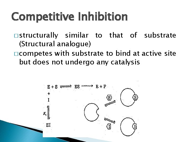 Competitive Inhibition � structurally similar to that of substrate (Structural analogue) � competes with