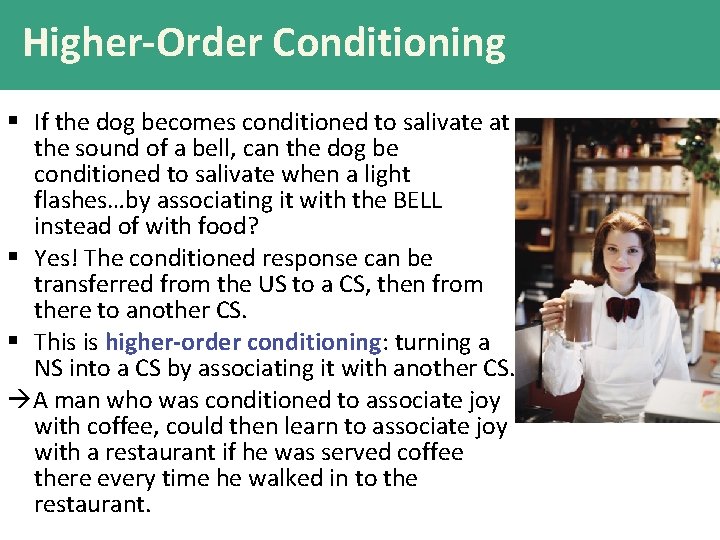 Higher-Order Conditioning § If the dog becomes conditioned to salivate at the sound of