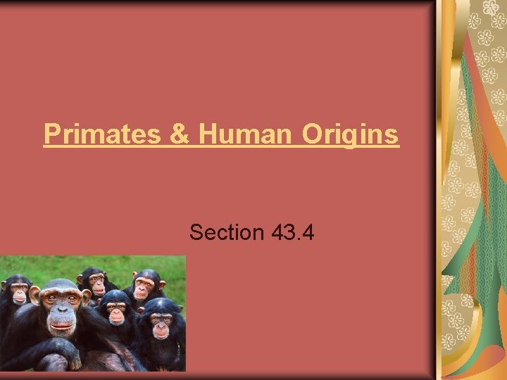 Primates & Human Origins Section 43. 4 