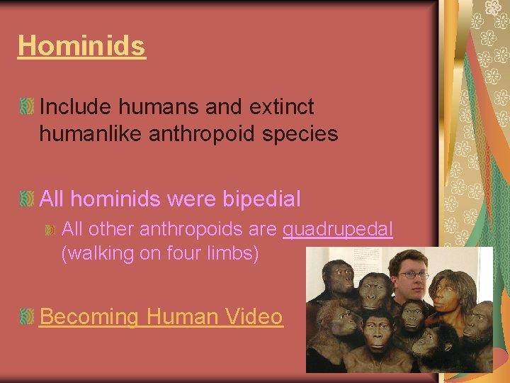 Hominids Include humans and extinct humanlike anthropoid species All hominids were bipedial All other