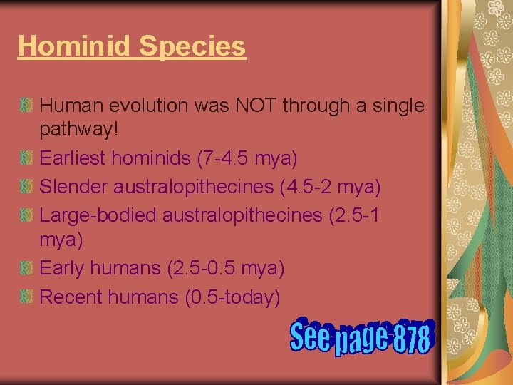 Hominid Species Human evolution was NOT through a single pathway! Earliest hominids (7 -4.