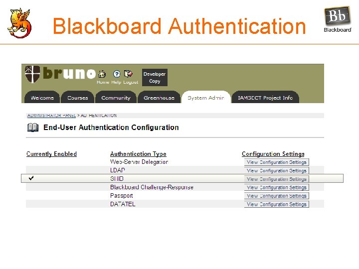 Blackboard Authentication 