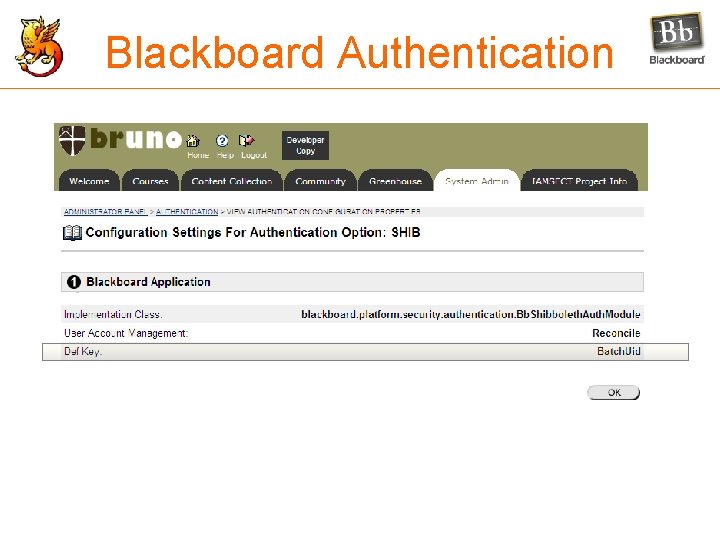 Blackboard Authentication 