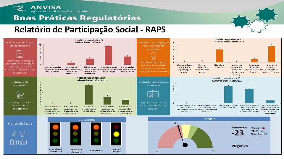 Relatório de Participação Social - RAPS 