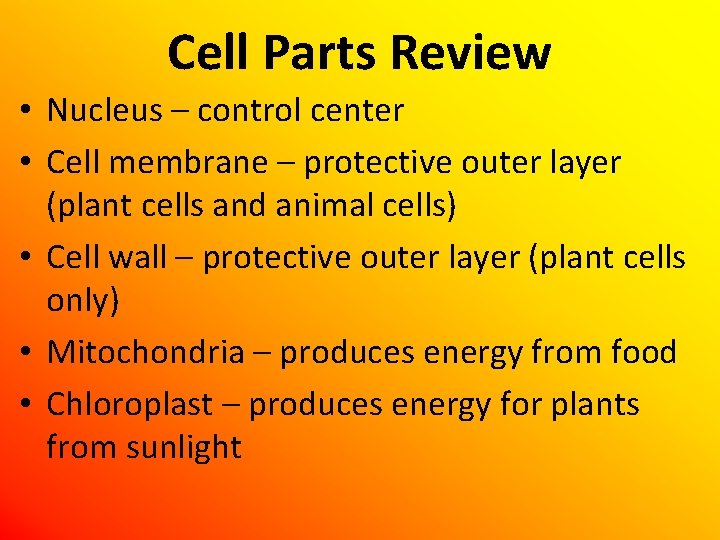 Cell Parts Review • Nucleus – control center • Cell membrane – protective outer