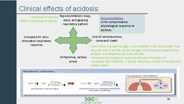 Clinical effects of acidosis: Kussmaul breathing Hyperventilation: deep, rapid, and gasping Which is exhaling