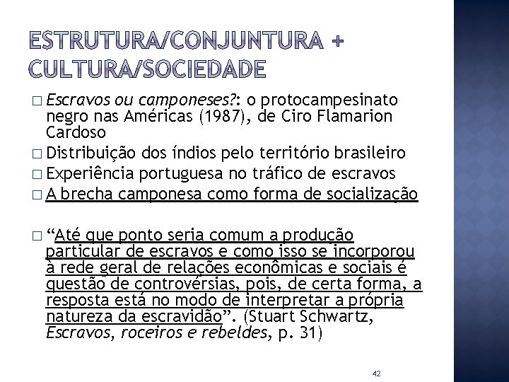 � Escravos ou camponeses? : o protocampesinato negro nas Américas (1987), de Ciro Flamarion