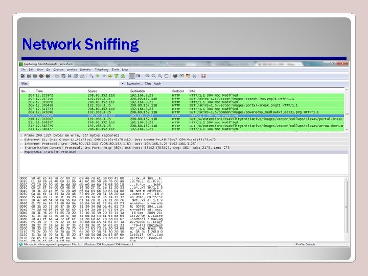 Network Sniffing 